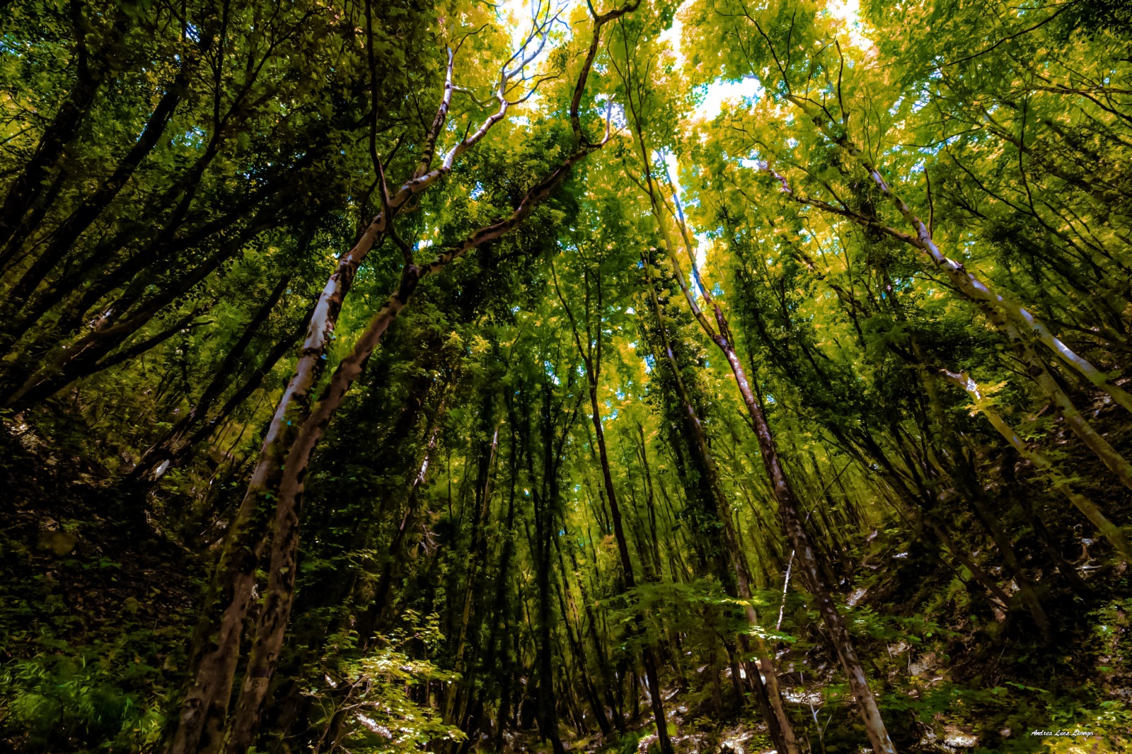 Sensibilizzare per un ambiente sostenibile