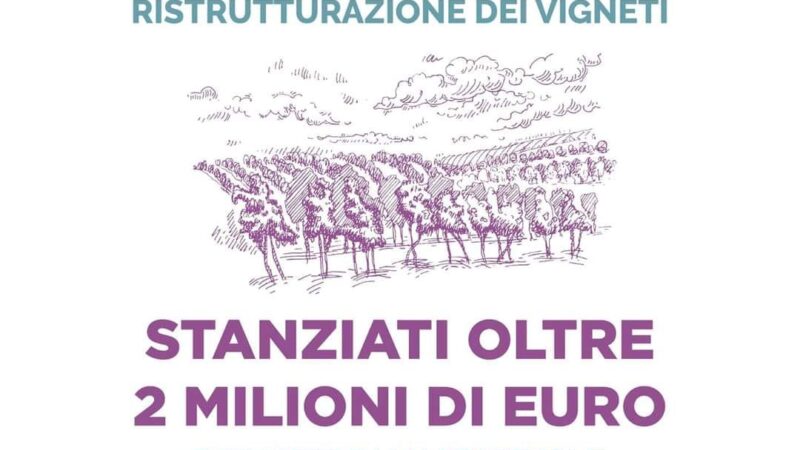 Colonna, OCM vino, oltre due milioni di euro per la riconversione e ristrutturazione dei vigneti