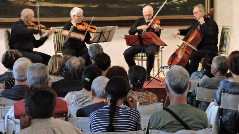 Ariccia, grande serata di musica con il quartetto Ensemble “Gli Allegri” a Palazzo Chigi: violini, viola e violoncello incantano il pubblico￼