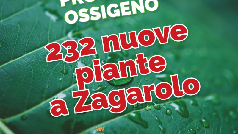 Zagarolo, 232 nuove piante, la città sempre più verde grazie al bando “Ossigeno” della Regione Lazio.