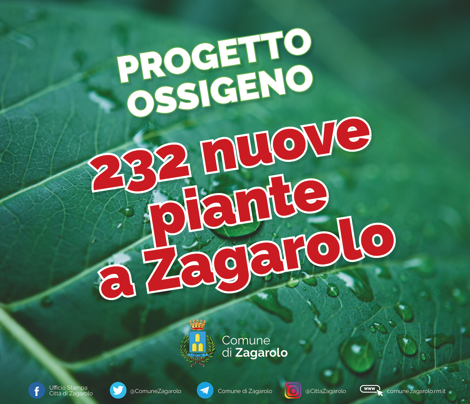 Zagarolo, 232 nuove piante, la città sempre più verde grazie al bando “Ossigeno” della Regione Lazio.