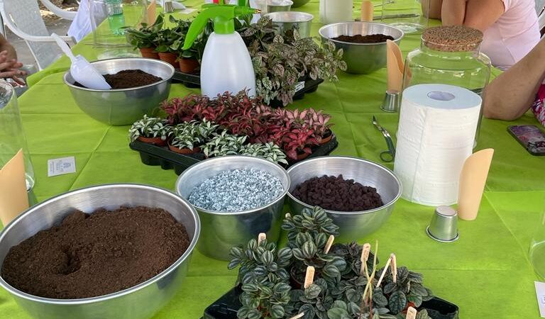 Ariccia, grande successo per l’iniziativa naturale ambientale “Terrarium Micro” alla frazione di Galloro