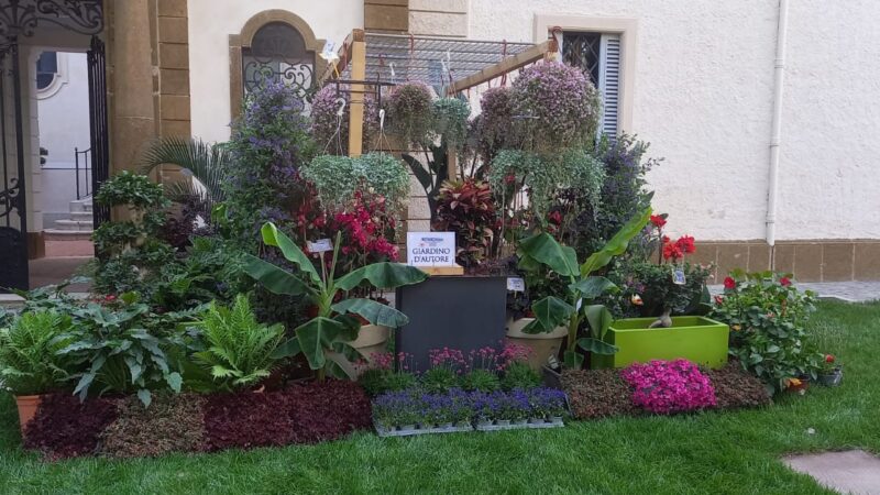 Grottaferrata, la mostra BotanicaFolias a Villa Cavalletti oggi e domani, piante e fiori rari da tutto il mondo