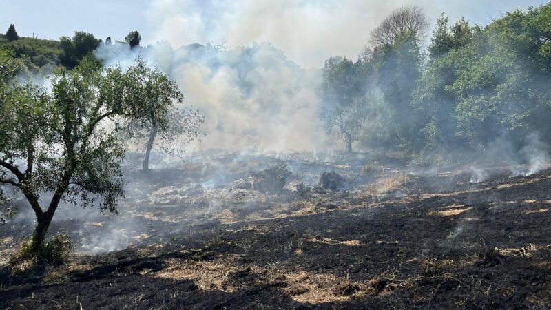 Velletri, primo incendio della stagione calda devasta una consistente parte di vegetazione in via di Paganico