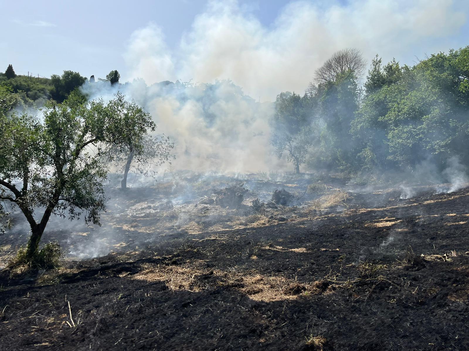 Velletri, primo incendio della stagione calda devasta una consistente parte di vegetazione in via di Paganico