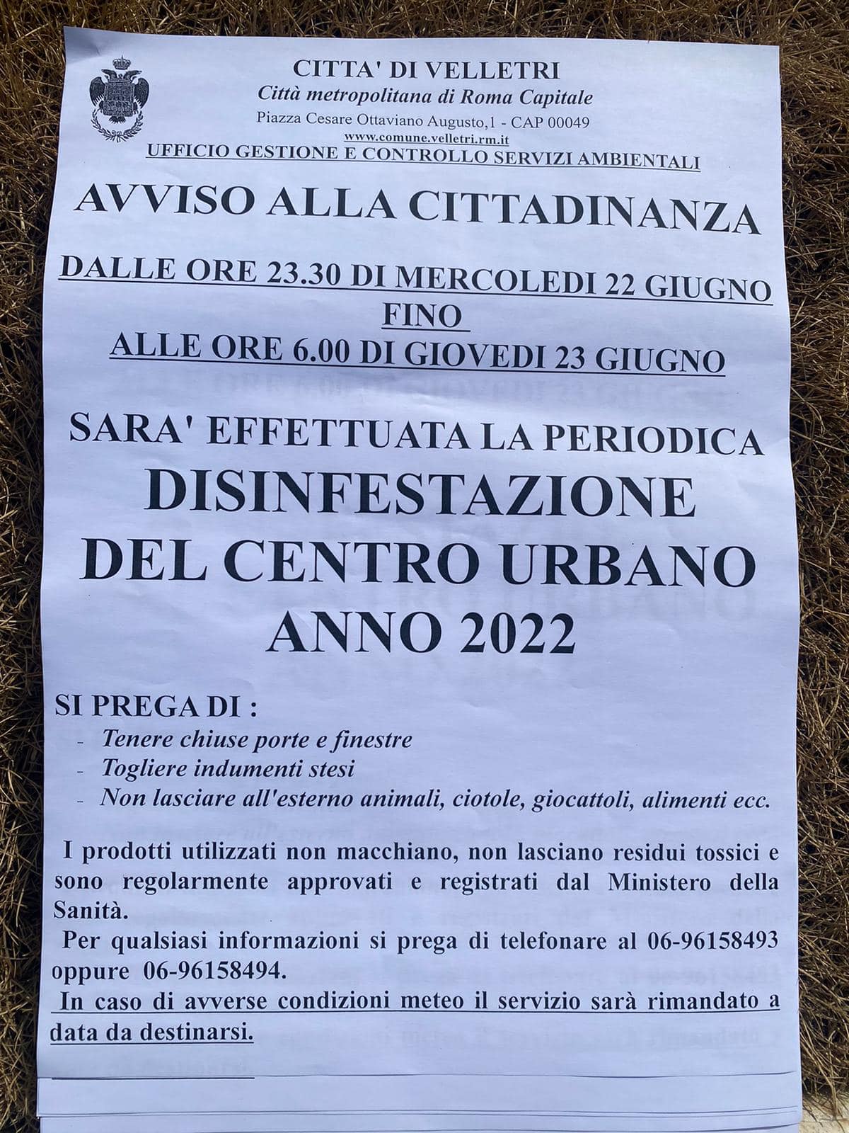 Velletri, dal 22 al 24 Giugno ci saranno le disinfestazioni di centri urbani, parchi e giardini