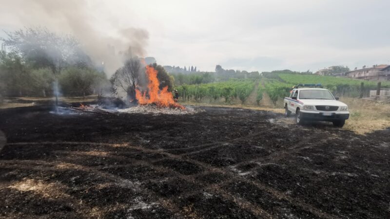 Frascati – Colonna, doppio incendio vicino alla stazione di Colle Mattia, ore di lavoro per pompieri e protezione civile