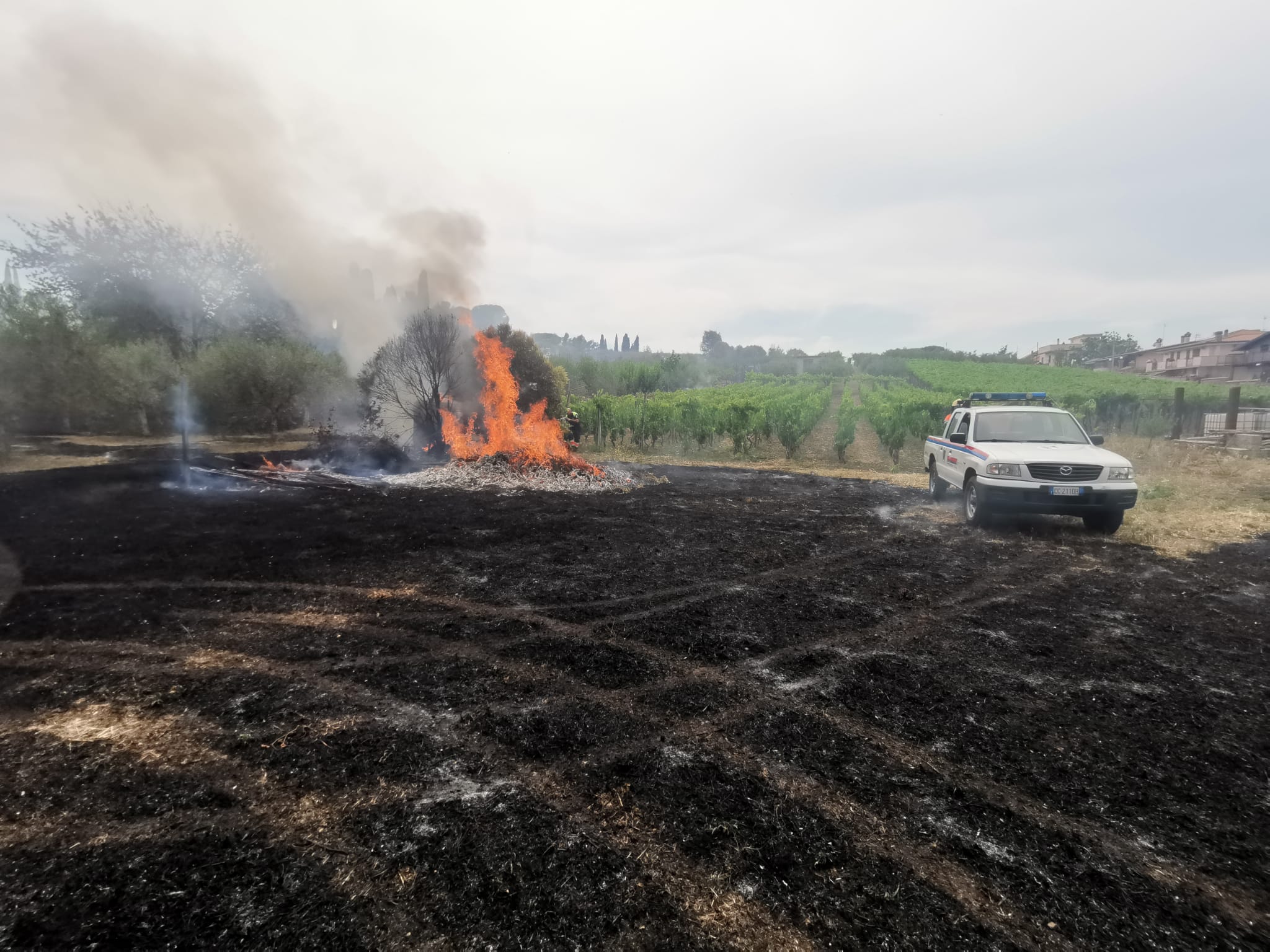 Frascati – Colonna, doppio incendio vicino alla stazione di Colle Mattia, ore di lavoro per pompieri e protezione civile