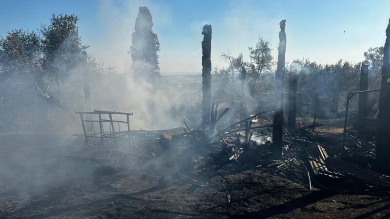 Castel Gandolfo, terminati ieri sera gli interventi di bonifica dell’incendio a ridosso della ferrovia