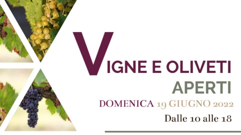 Grottaferrata, Vigne e oliveti aperti: il 19 giugno la III edizione dell’evento, per scoprire i sapori del Vulcano Laziale