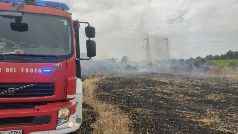 Ardea, vasto incendio nella zona di Montagnano Valle Gaia al confine con Cecchina via Ardeatina