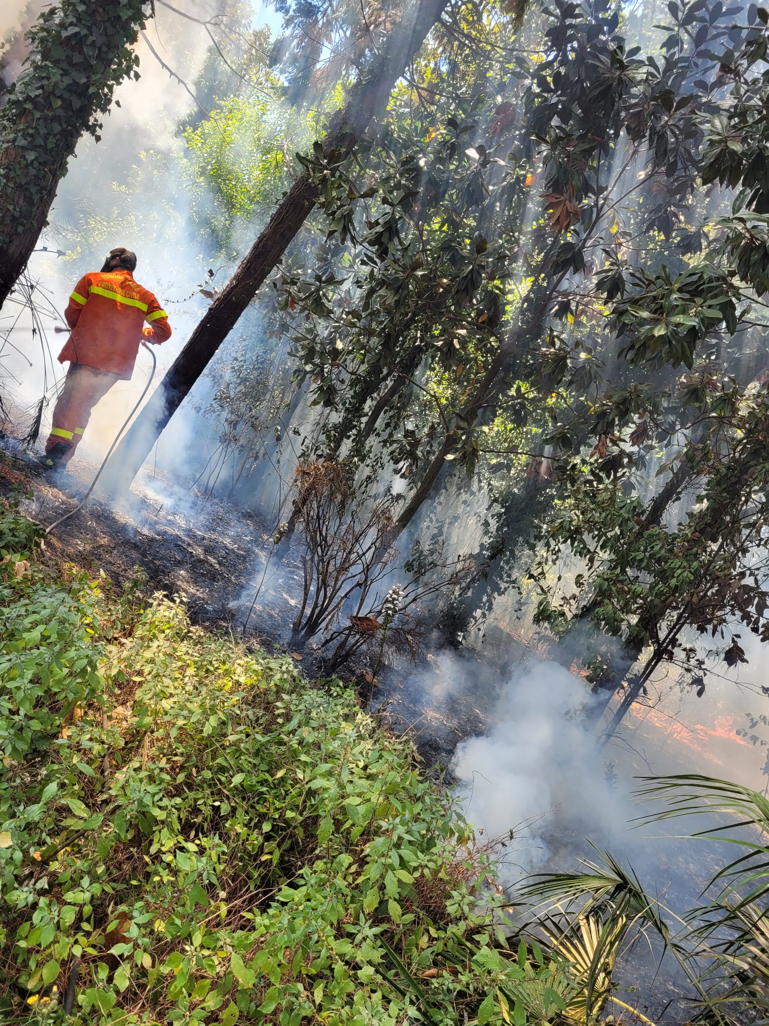 Marino, vasto incendio a ridosso del centro abitato, vari mezzi e operatori antincendio al lavoro per l intera giornata