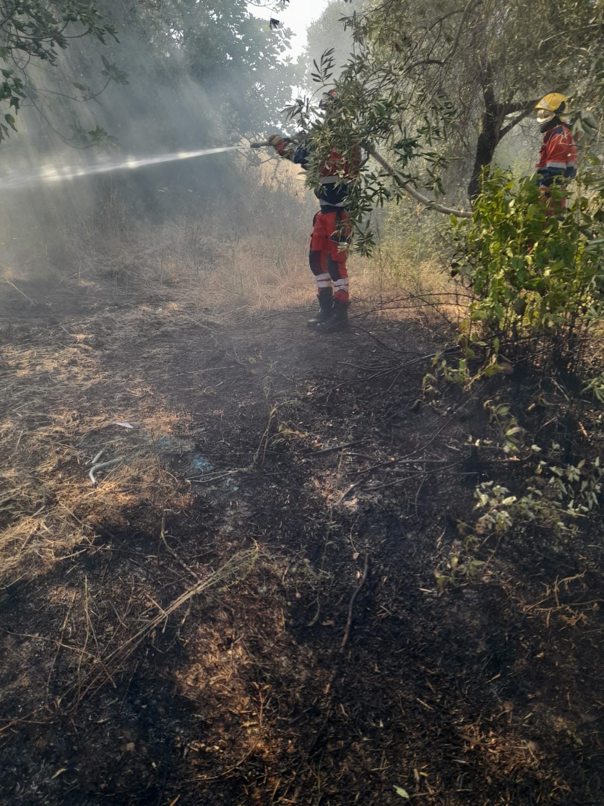 Lanuvio, una decina di mezzi al lavoro per spegnere un incendio in via Casal Marini per l’intero pomeriggio di ieri