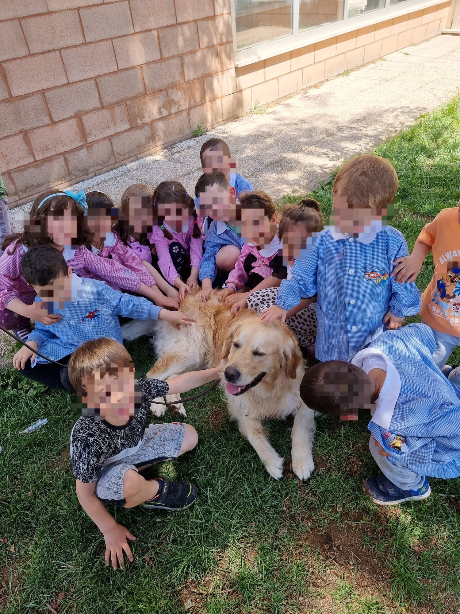 Lanuvio, i bambini della Levi Montalcini partecipano al progetto “Io e il mio amico Balto”