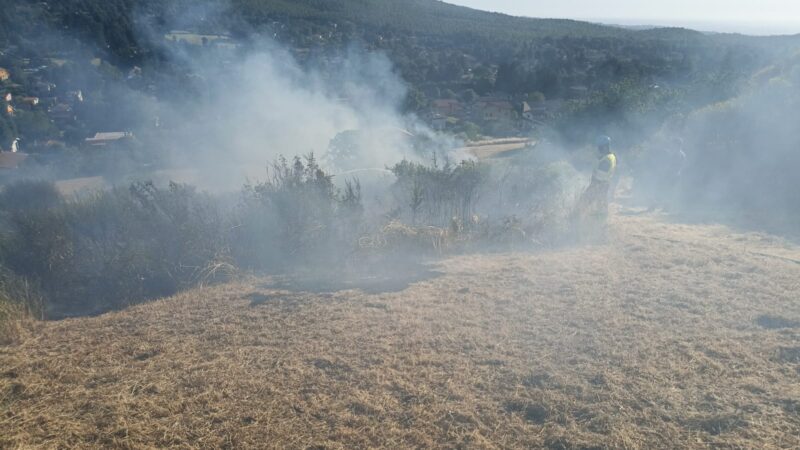 Rocca Priora, vasto incendio in via del Buero. Ancora al lavoro i soccorritori