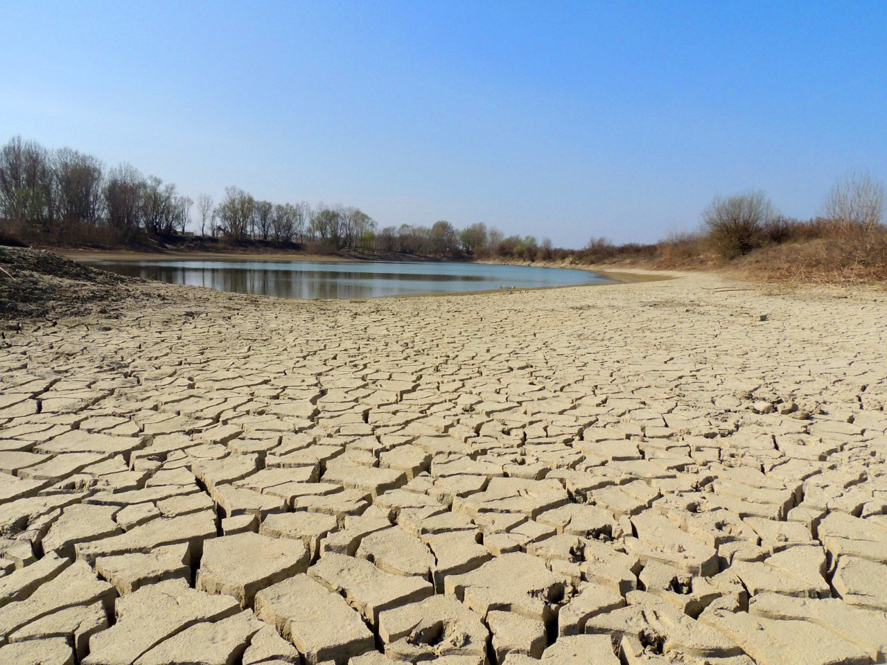 L’Osservatorio ANBI delle Risorse Idriche definisce “catastrofica” la situazione idrica ai Castelli Romani