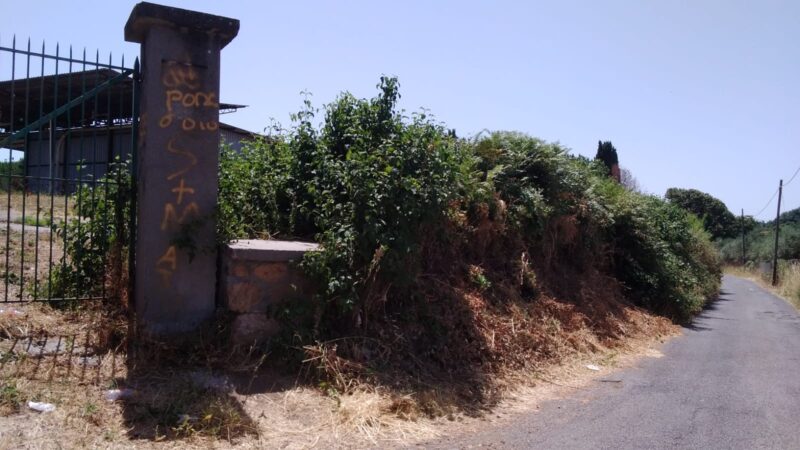 Genzano, situazione di grande pericolo in via dell’Aspro. Strada dissestata e vegetazione incolta da anni