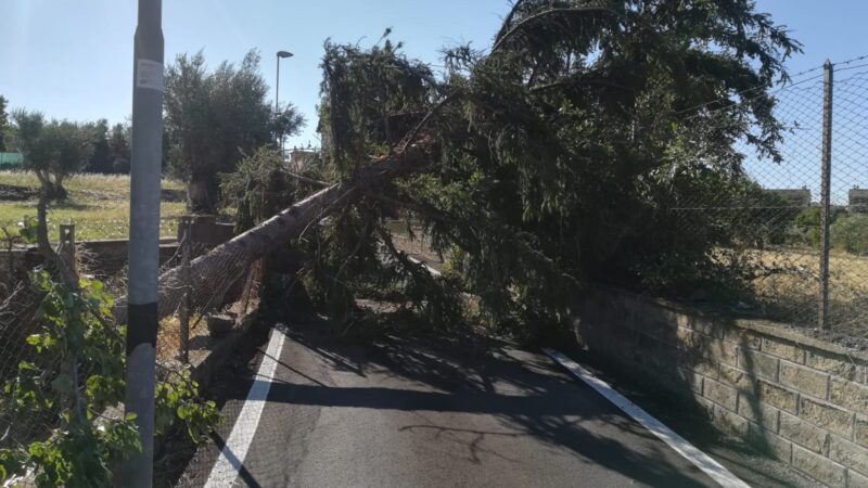 La Protezione Civile di Castel Gandolfo, Vigili del fuoco e il sindaco De Angelis sono in giro da stanotte per monitorare i danni del maltempo