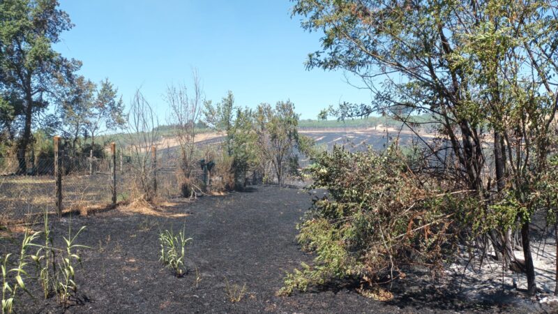 Cecchina, incendio nei pressi della discarica di via Roncigliano domato da Protezione Civile e Vigili del Fuoco