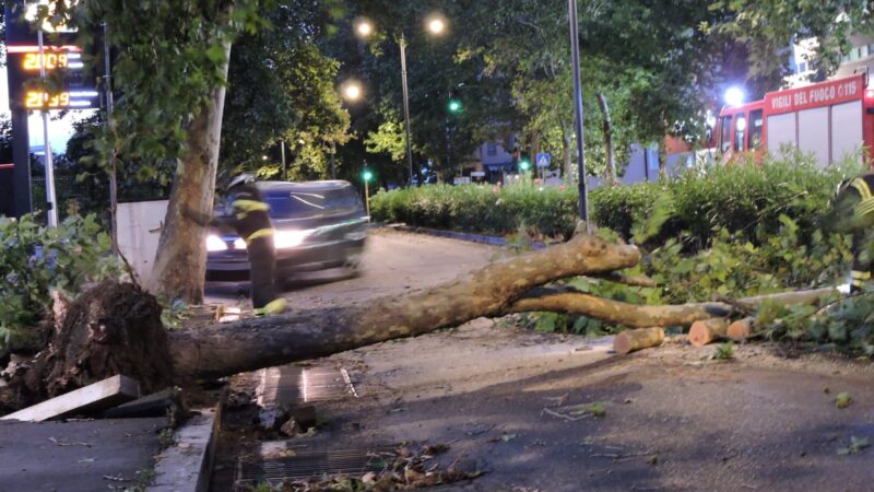 Castelli Romani,  violenta tromba d’aria in nottata, Genzano tra le più colpite