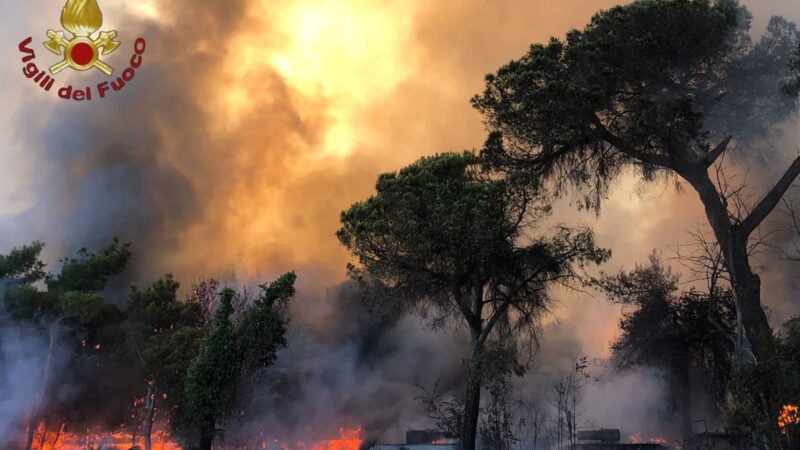 Castel Fusano: Incendio pineta. Riparte il fronte incendi devastanti in provincia di Roma