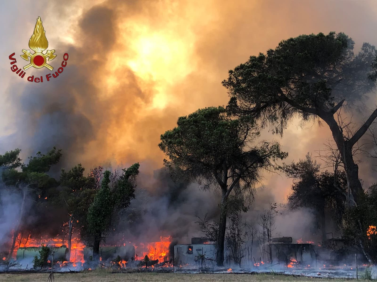 Castel Fusano: Incendio pineta. Riparte il fronte incendi devastanti in provincia di Roma