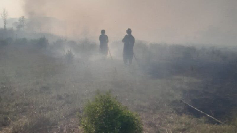 Roma e provincia, oltre 40 gli interventi effettuati oggi dai Vigili del Fuoco: il più grave a Marino