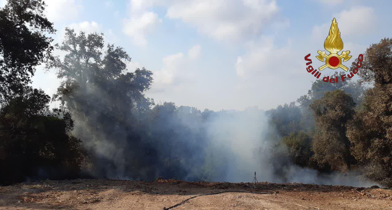 Roma e provincia non si ferma il fronte incendi, oltre 40 interventi in poche ore. Colpiti anche Artena, Genazzano e Olevano