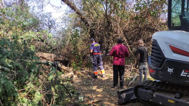 Velletri: Emergenza incendi. Stamattina ripartito quello sotto il ponte ferroviario e un altro in zona Cinque Archi