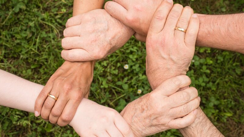 Grottaferrata, approvato atto di indirizzo per inclusione lavorativa di soggetti svantaggiati