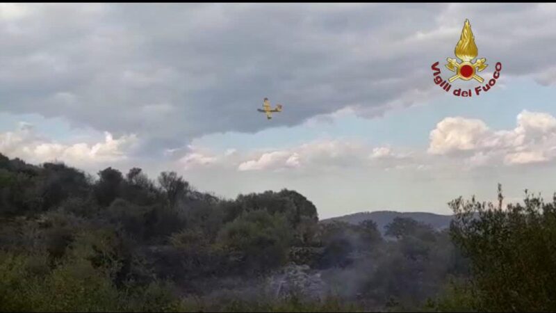 Santa Marinella, in corso vasto incendio di bosco e sterpaglie. Sul posto anche due mezzi aerei