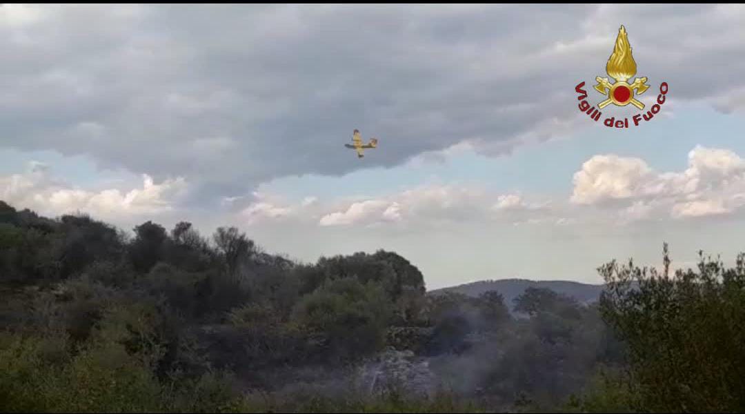 Santa Marinella, in corso vasto incendio di bosco e sterpaglie. Sul posto anche due mezzi aerei