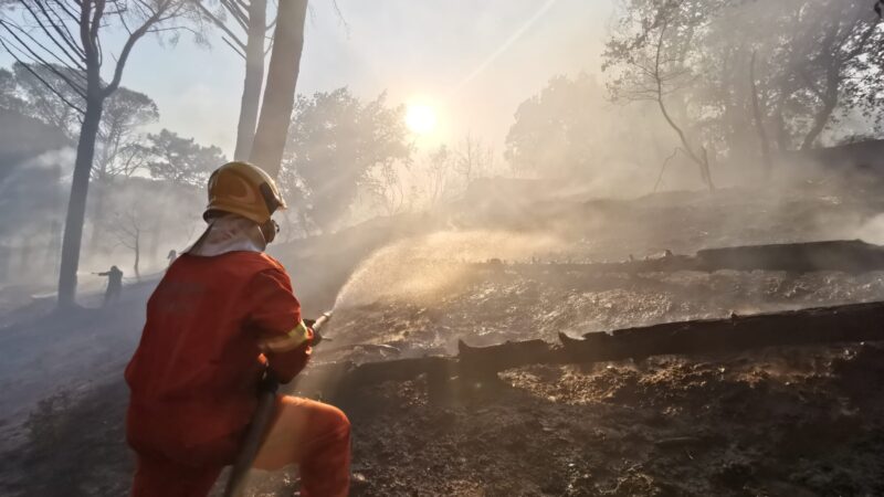 Grottaferrata, devastante incendio alla pineta del Monte Tuscolo. Decine di mezzi ed elicottero al lavoro fino a sera