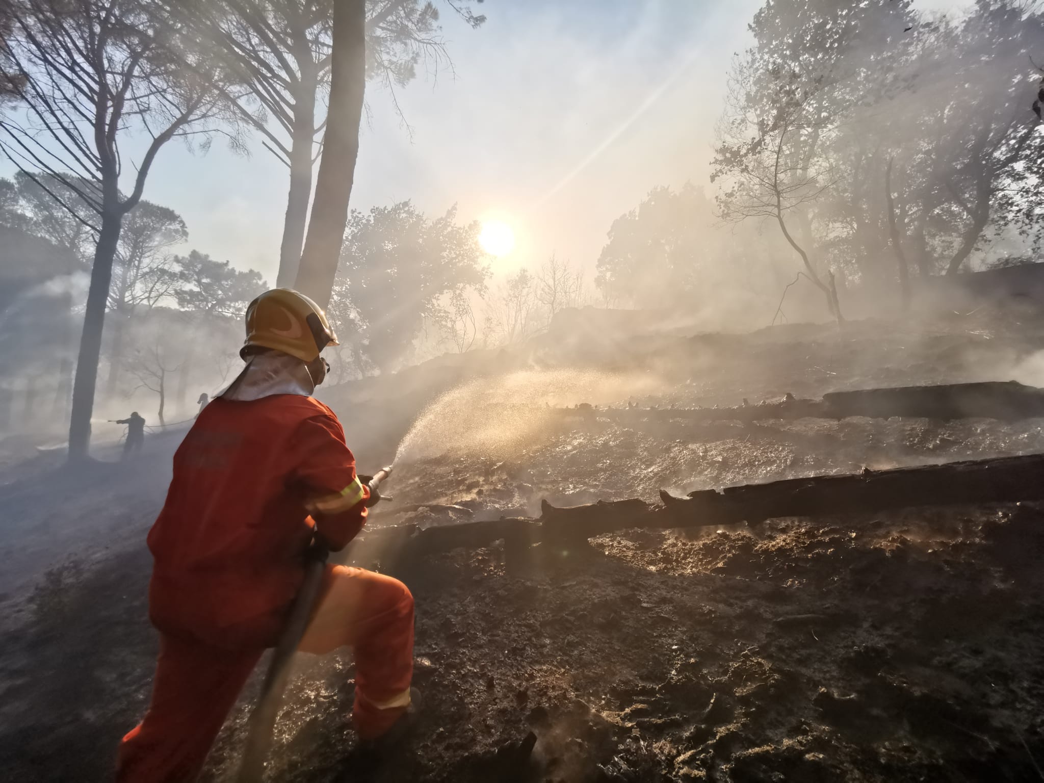 Grottaferrata, devastante incendio alla pineta del Monte Tuscolo. Decine di mezzi ed elicottero al lavoro fino a sera