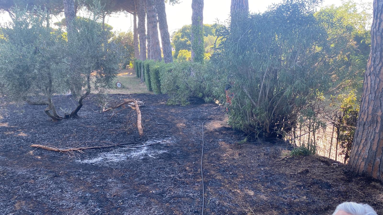 Genzano-Nemi: Repentino incendio in un parco di una villa in zona Ville di Nemi. Intervento della protezione civile