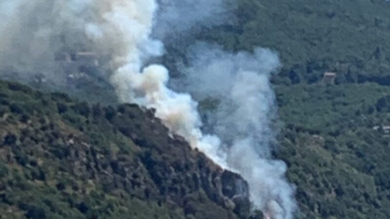 Stamattina ripresa consistente dell’incendio sul costone del lago di Castel Gandolfo domato già ieri