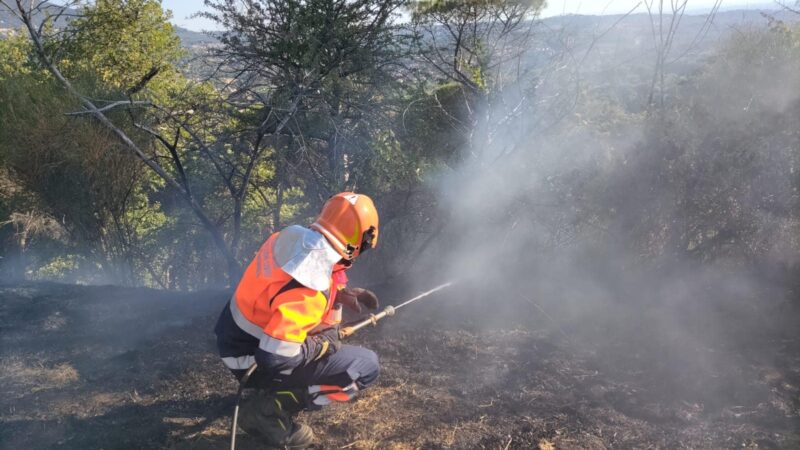 Castelli Romani-Regione Lazio, i dati degli incendi del Comitato Tecnico Consultivo della Protezione Civile Regionale. Ed i ringraziamenti ai volontari della PC