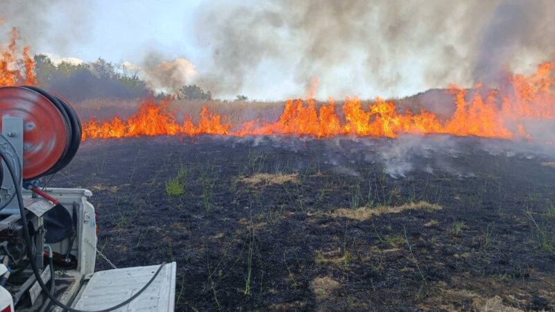 Incendio tra Zagarolo e Monte Compatri, interessata la zona di valle Martella – il ringraziamento alle protezioni civili di Zagarolo e del territorio￼