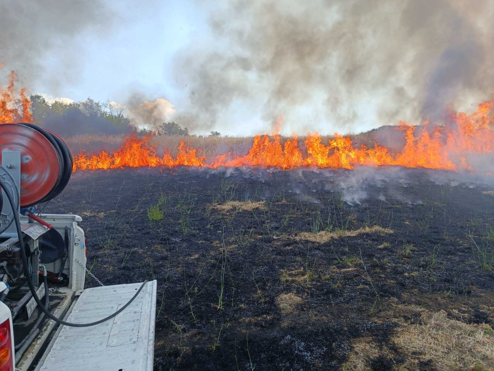 Incendio tra Zagarolo e Monte Compatri, interessata la zona di valle Martella – il ringraziamento alle protezioni civili di Zagarolo e del territorio￼