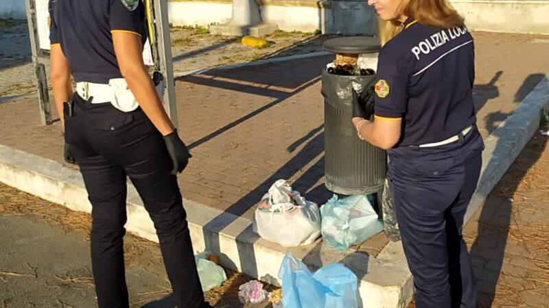 Lanuvio: incendi e rifiuti. Amministrazione, Polizia Locale e Protezione Civile al lavoro per la tutela del territorio