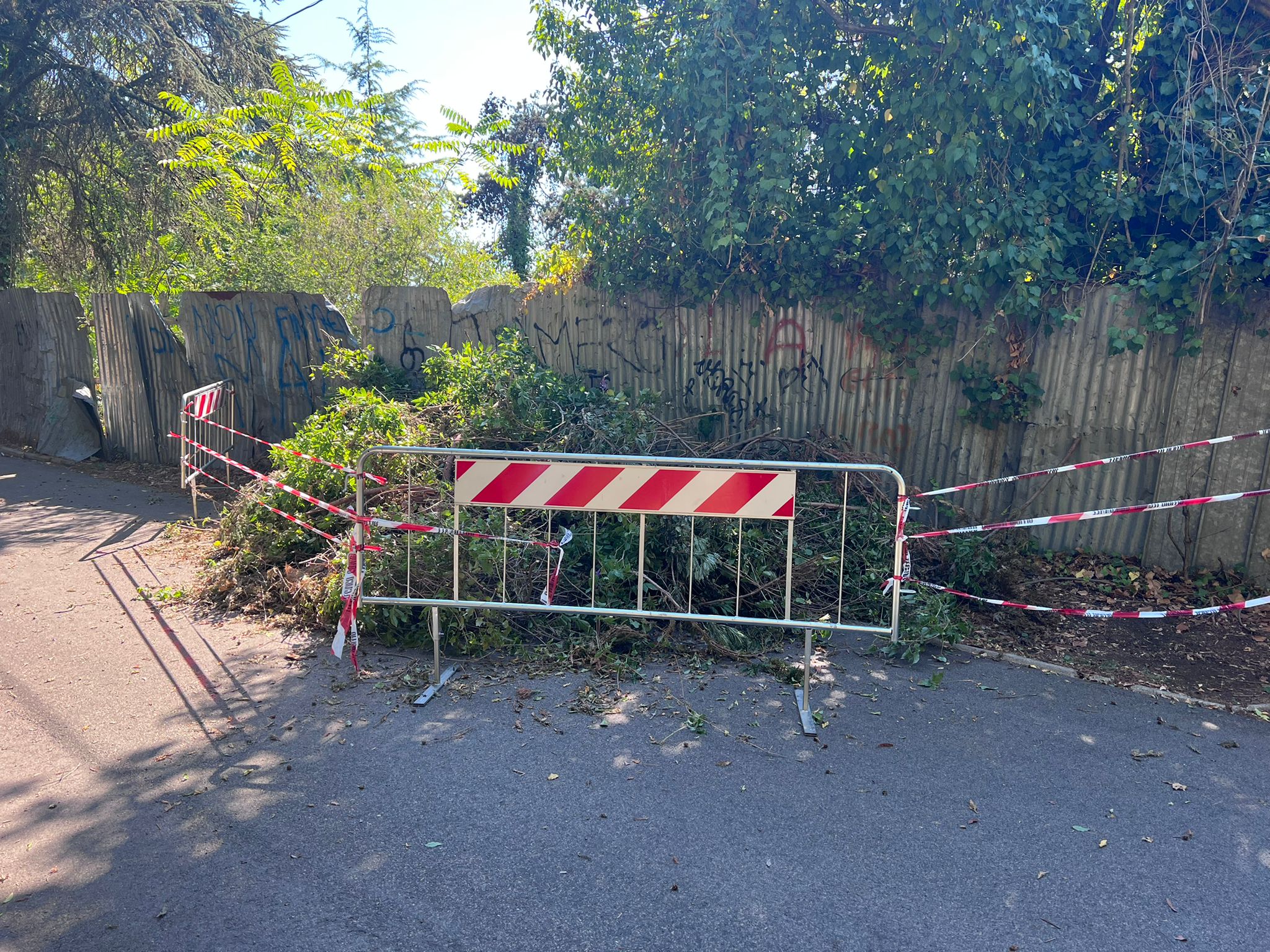 Lanuvio: Protezione civile spegne pericoloso incendio nella zona del Boschetto