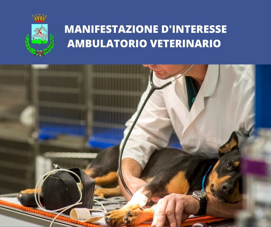 Marino: Alla ricerca di un ambulatorio veterinario autorizzato