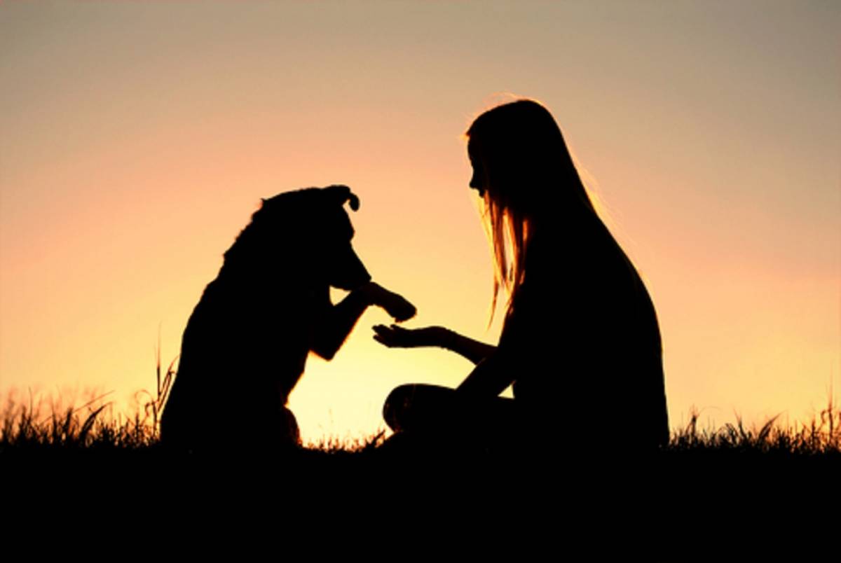 Marino: Le parole del sindaco Cecchi per la Giornata mondiale del cane