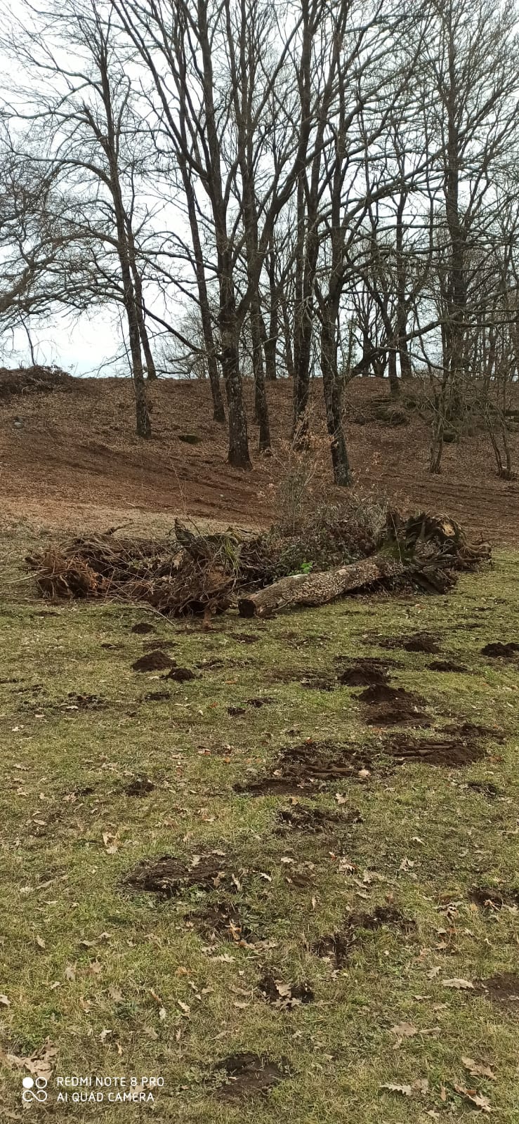 Il cuore del Parco dei Castelli Romani è a rischio, alberi e animali sacrificati per lo sport