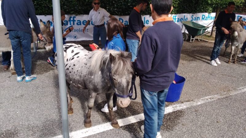 Rocca di Papa, due pony e due asini incontrano gli anziani del San Raffaele e i bambini delle scuole