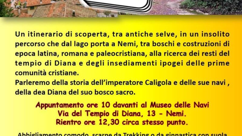 Albano: Ottobre Rosa 2022, mese della sensibilizzazione alla prevenzione del cancro al seno