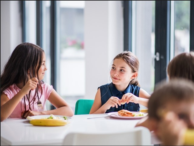 Ciampino: Servizio di mensa scolastica