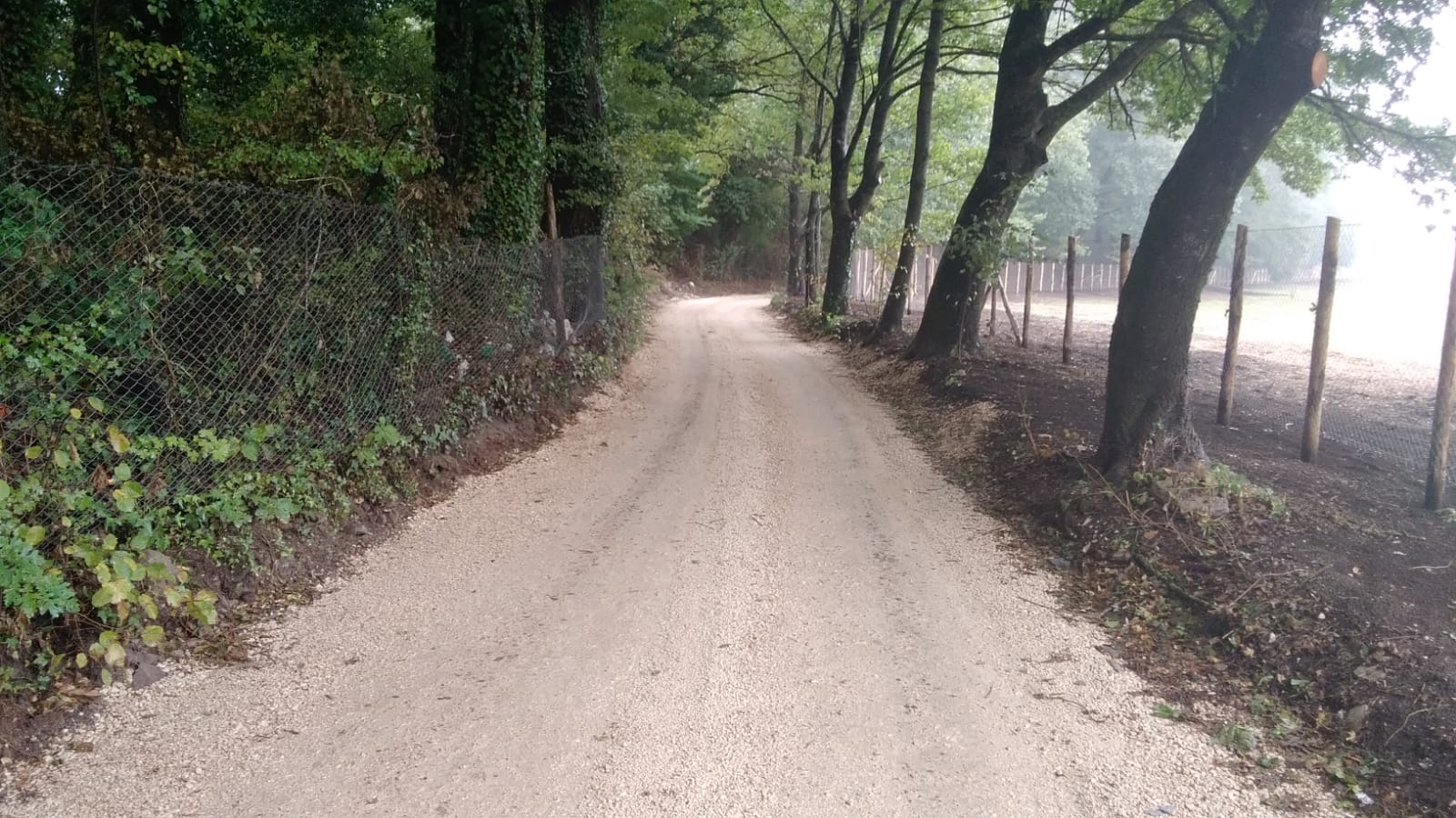 Rocca di Papa, investita bambina di sei anni in via di Velletri zona Pratoni del Vivaro. Trasportata al Bambin Gesù