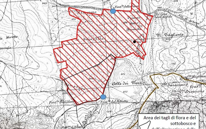 Rocca di Papa, alcuni comitati e associazioni: “Gli habitat del Vivaro corrono un serio pericolo”