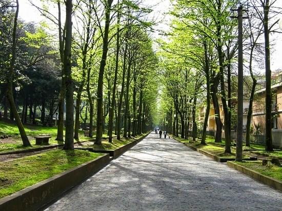 Genzano avrà la sua palestra a cielo aperto